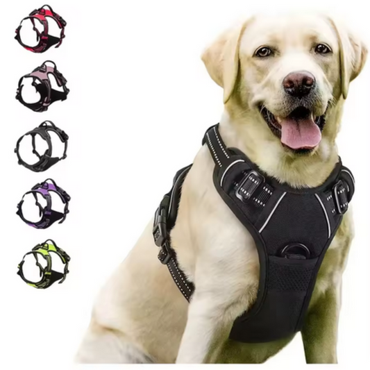 Arnes de perro Pro